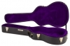 Gretsch G6295 Square Neck Resonator Flat Top Case Gretsch G6295 Square Neck Resonator Flat Top Case